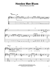 Hoodoo Man Blues 