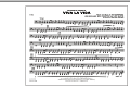Viva La Vida - Tuba