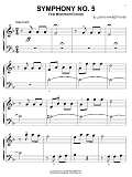 Symphony No. 5 in C Minor, First Movement Excerpt