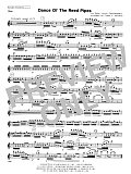 Dance Of The Reed Pipes - Flute