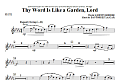 Thy Word Is Like A Garden, Lord - Flute