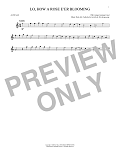 Lo, How A Rose E'er Blooming