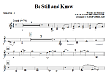 Be Still And Know - Viola