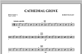 Cathedral Grove - Percussion 1