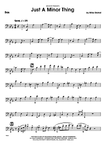 Just A Minor Thing - Bass 