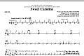 Sweet Caroline - Drums