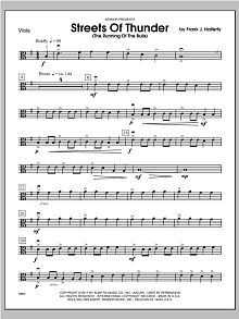 Streets Of Thunder (The Running Of The Bulls) - Viola 