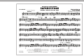 Superstition (includes "Living for the City" Intro) - Xylophone