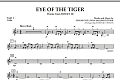 Eye Of The Tiger - Pt.2 - Violin