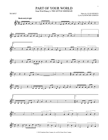Part Of Your World (from The Little Mermaid) 