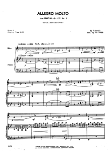 Allegro Molto (from Sonatina, Opus 137, No. 1) - Piano Accompaniment 