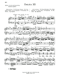 Sonata In D Major, K. 311