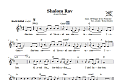 Shalom Rav (Grant Us Peace)