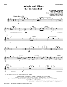 Adagio In G Minor (Let Darkness Fall) - Flute 