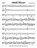 Hillbilly Heaven - Percussion 2