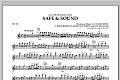 Safe & Sound (from The Hunger Games) - Flute