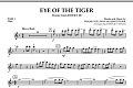 Eye Of The Tiger - Pt.1 - Flute