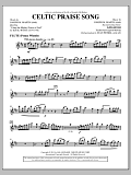 The Celtic Choir - Pennywhistle/Flute