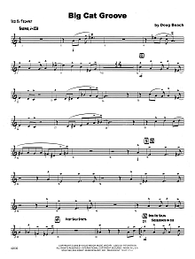 Big Cat Groove - 3rd Bb Trumpet 
