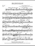 Second Essay - Piccolo