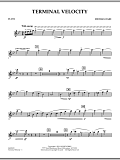 Terminal Velocity - Flute