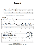 Blackbird