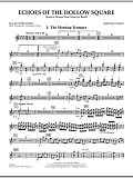 Echoes Of The Hollow Square - Mallet Percussion