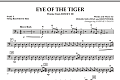 Eye Of The Tiger - Pt.5 - String/Electric Bass