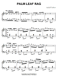 Palm Leaf Rag