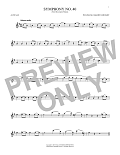 Symphony No. 40 In G Minor, First Movement Excerpt