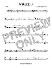 Symphony No. 40 In G Minor, First Movement Excerpt 