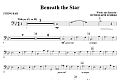 Beneath The Star - String Bass