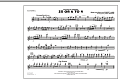 25 Or 6 To 4 - Flute/Piccolo