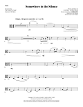 Somewhere in the Silence - Viola