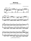Birdsong (from Seven Days Walking: Day 2)
