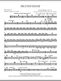 Second Essay - Percussion 4