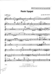 Piccolo Espagnol - Cornet 1 