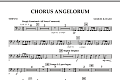 Chorus Angelorum - Timpani