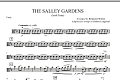 The Salley Gardens - Viola