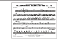 Transformers: Revenge Of The Fallen - Flute/Piccolo