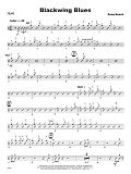 Blackwing Blues - Drum Set