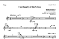 The Beauty Of The Cross - Harp