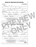 Shape Of You/Castle On The Hill - Aux Percussion
