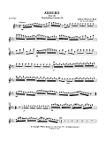 Allegro from Brandenburg Concerto No. 3 - 1st Flute