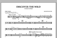 Discover The Wild - Percussion 