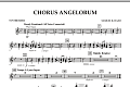 Chorus Angelorum - Synthesizer