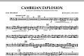 Cambrian Explosion - Bass Trombone