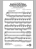 Briefcase Full Of Blues (A Tribute to the Blues Brothers)