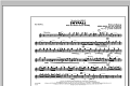 Skyfall - Flute/Piccolo
