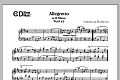Allegretto In B Minor, Woo 61